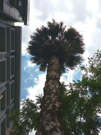 Low angle view of tree against cloudy sky