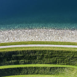 Close-up of green landscape