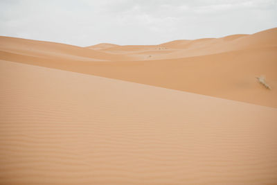 Sand dunes in desert against sky