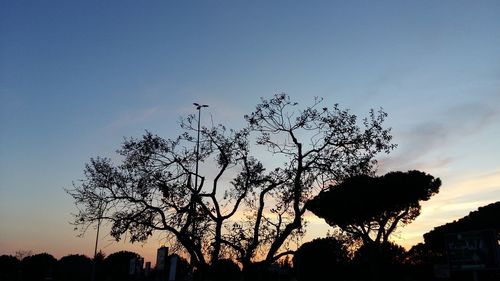 Low angle view of silhouette tree against sky at sunset