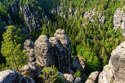 Near bastei bridge, saxon switzerland