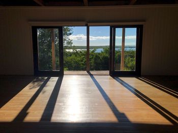 Trees seen through window of building