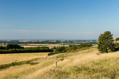 Scenic view of field against clear sky