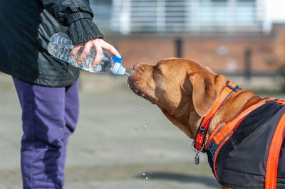 Midsection of man with dog on water