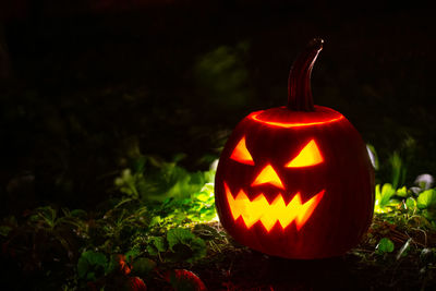 Close-up view of illuminated pumpkin against plants during halloween