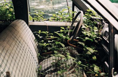 Close-up of abandoned vehicle