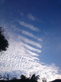 Low angle view of trees against cloudy sky