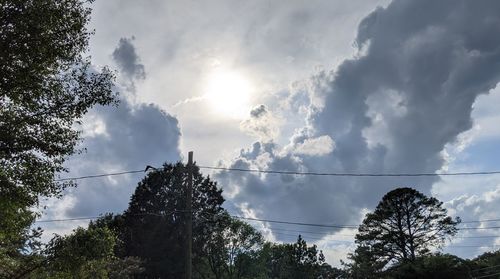 Low angle view of trees against sky