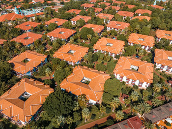 Luxurious beach resort with bungalows in the park by the beach.