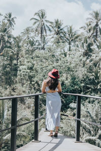 Rear view of woman standing by railing against trees