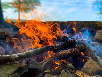 Close-up of bonfire on wooden log