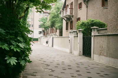 Walkway amidst trees