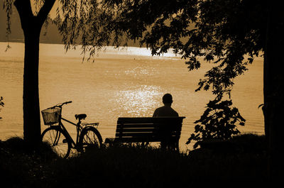 Rear view of silhouette man sitting on bench against plants