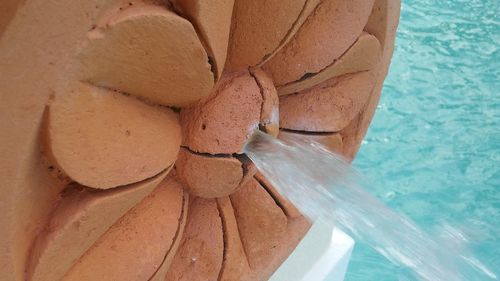 High angle view of bread in swimming pool