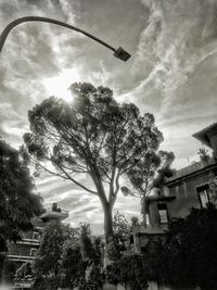 Low angle view of trees against cloudy sky