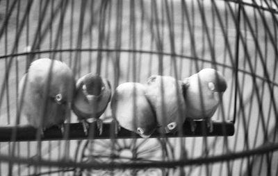 Close-up of human feet