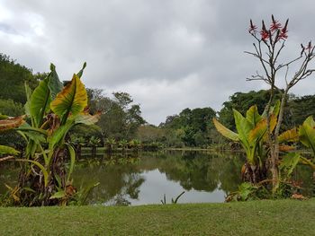 Scenic view of lake against cloudy sky