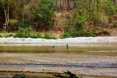 People in lake by trees in forest