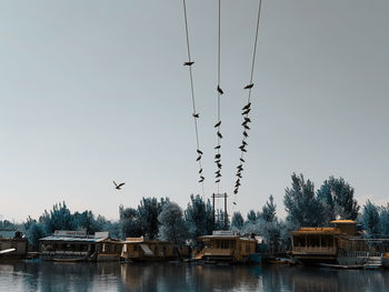 Birds flying over river against sky