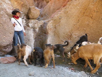 Woman standing with goats against rock