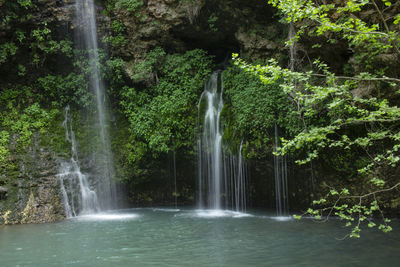 Scenic view of waterfall in forest
