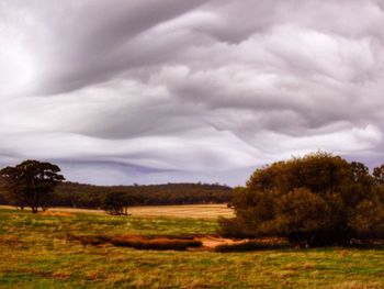 Scenic view of grassy field against cloudy sky