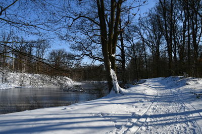 Bare trees on snow covered land against sky