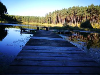 Scenic view of lake in forest against sky