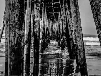Wooden posts on pier over sea
