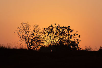 Silhouette trees on field against orange sky