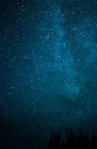 Low angle view of trees against sky at night