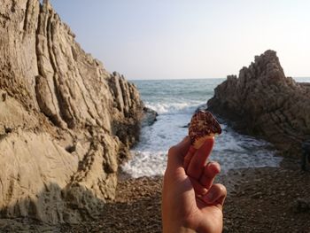 Close-up of hand holding seashell at beach against clear sky