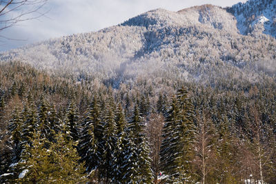 Scenic view of snow covered mountains