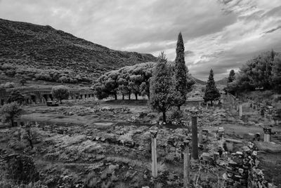 Old ruins and trees on field against cloudy sky