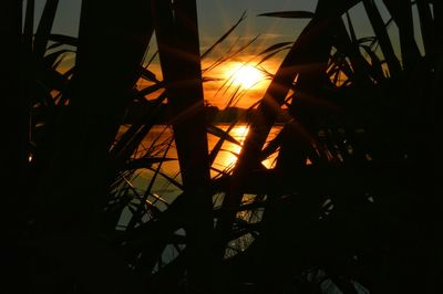 View of sunset over the sea