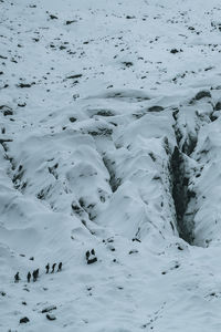 High angle view of snowy field