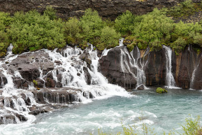 Scenic view of waterfall in forest