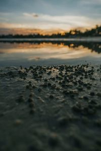 Surface level of sea against sunset sky