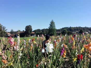 Rear view of woman standing amidst flowering plants against sky
