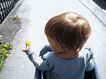 Back shot of a baby girl sitting in a pram and holding a dandelion