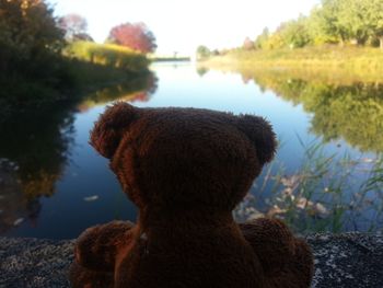 Close-up of teddy bear by water against sky