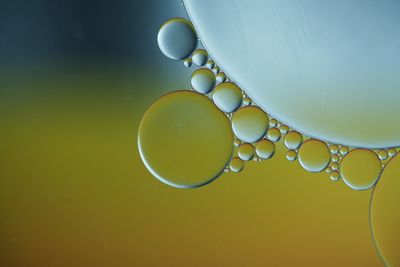 Close-up of water drops against yellow background