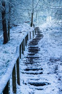 Scenic view of frozen lake in forest during winter