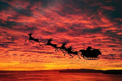 Silhouette santa claus sled against orange sky during sunset