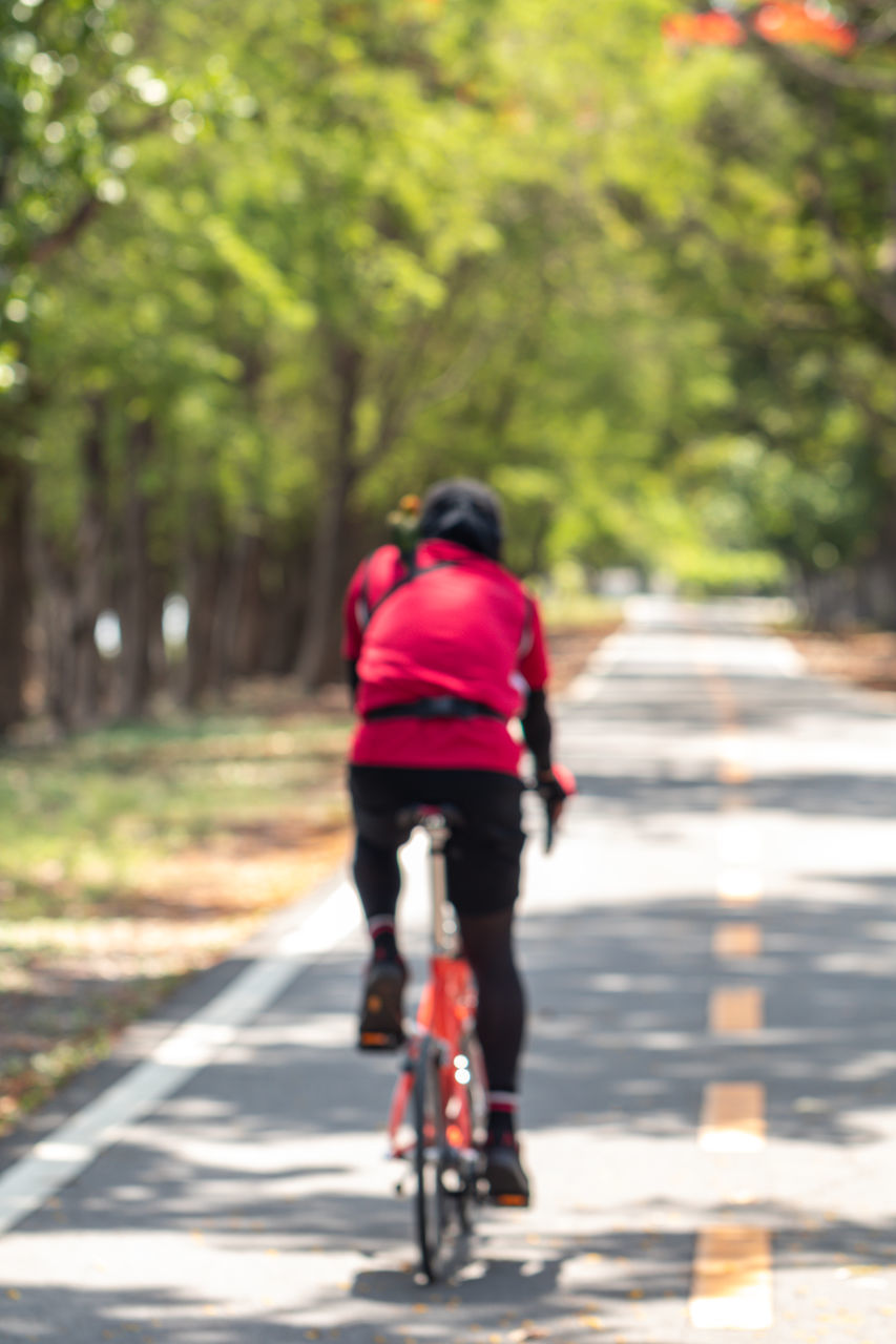 REAR VIEW OF GIRL RIDING BICYCLE ON ROAD