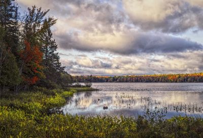 Scenic view of lake against sky during autumn