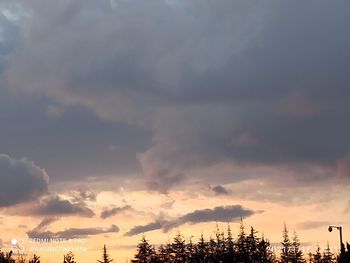 Low angle view of silhouette trees against sky during sunset