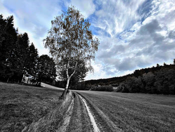 Road amidst trees on field against sky