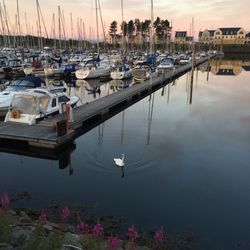 Boats moored at harbor