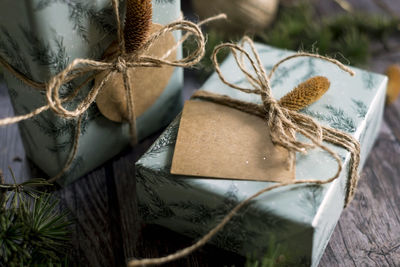 Close-up of christmas decoration on plant